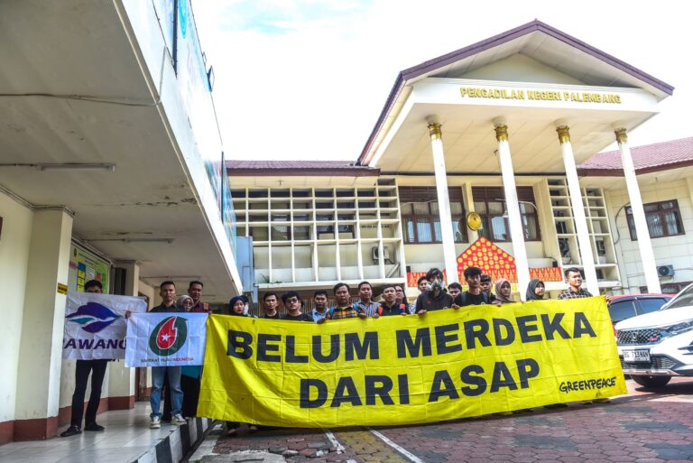 Babak Lanjutan Sidang Kasus Asap Sumsel: Pembacaan Kerugian Penggugat hingga Permohonan Intervensi Greenpeace